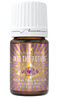 into the future essential oil