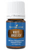 white-angelica essential oil