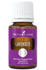 lavender essential oil