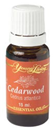 cedarwood essential oil