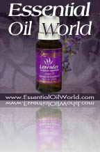 lavender essential oil cover