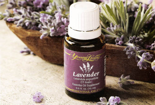 bottle of lavender essential oil