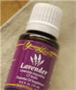 lavender essential oil