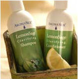 shampoo-basket