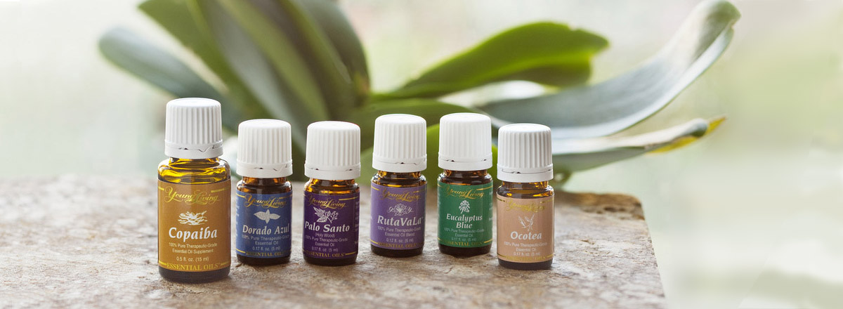 Oils of the Rainforest