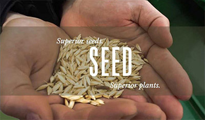 Seed to Seal